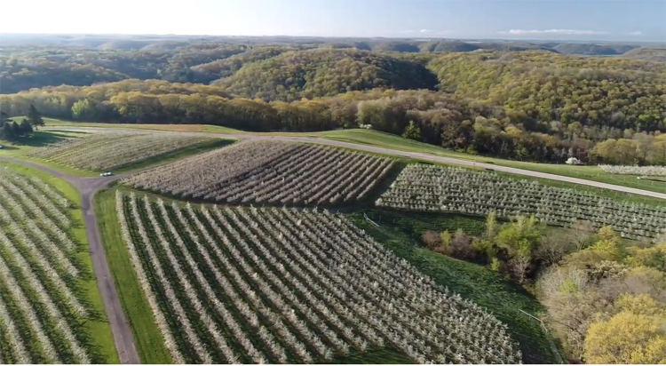 Sunrise Orchards Spring View High Above Gays Mills