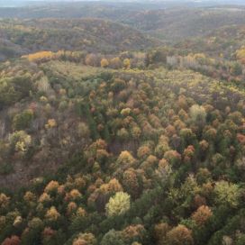 Overlooking the orchard by Helicopter at Sunrise Orchards, Gays Mills, WI