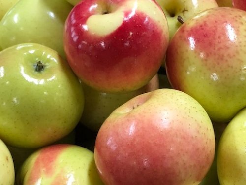 Apples- Mcintosh — Sun Orchard Apples