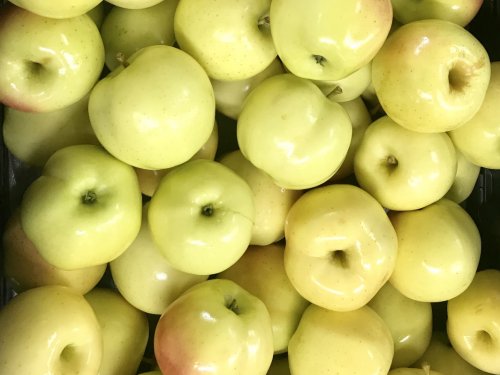 Blondee Apples - Tuttle Orchards