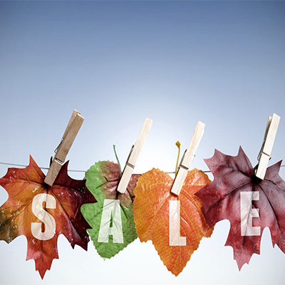 Sunrise Orchards Pre-Thanksgiving Sale Sunrise Orchards Pre-Thanksgiving Sale