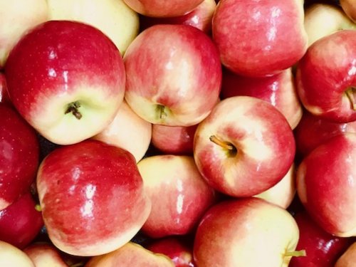 Apples- Mcintosh — Sun Orchard Apples