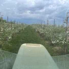 Full Bloom 2021 View from a Tractor