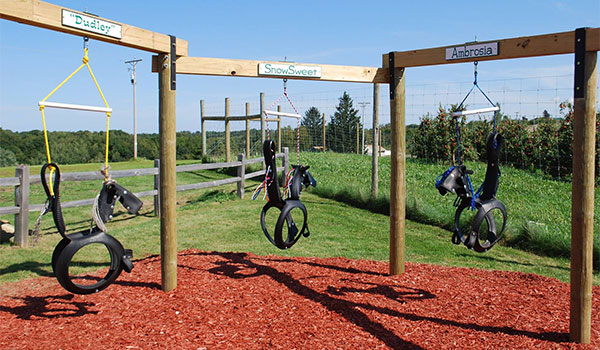 Sunrise Orchards Play Area