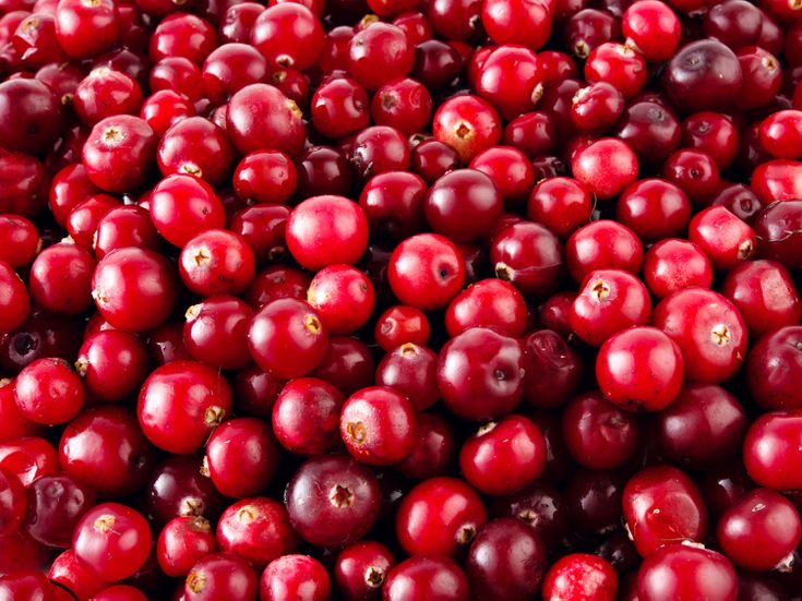 Fresh cranberries are now in stock!