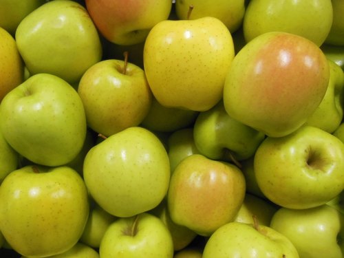 Golden and Red Delicious Apples NOW in Stock October 2, 2021!