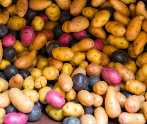 Tips for Storing and Cooking Potatoes