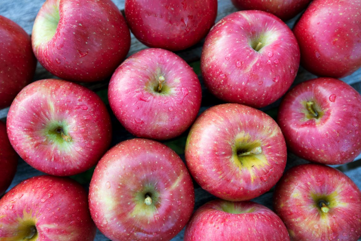 EverCrisp® Apples Are Available at Sunrise Orchards!