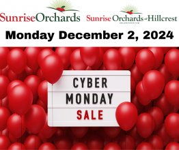 Cyber Monday SALE Nov 29! Cyber Monday SALE Nov 29!