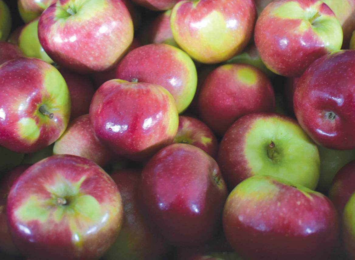 Home Delivery Apples Through October 17th!