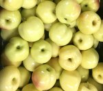 Blondee Apples in Stock Now!