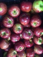 Cortland Apples Are in Stock Now!