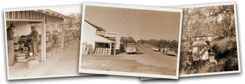 Sunrise Orchards History - About Us