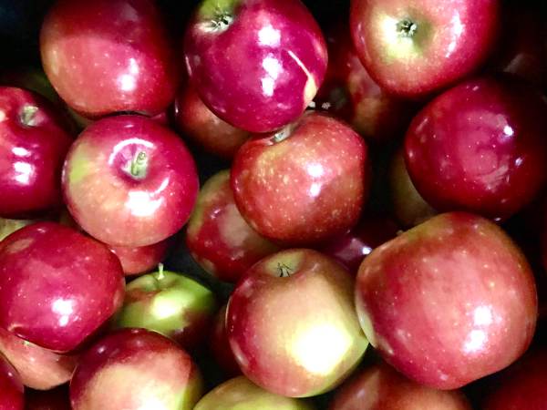 Jonamac Apples in Stock Now!