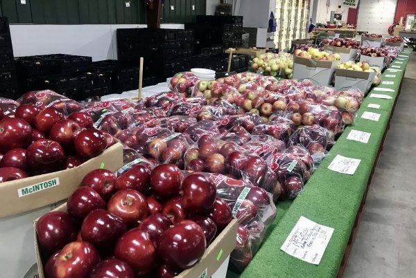 What Apples are in Stock Sept. 28th?