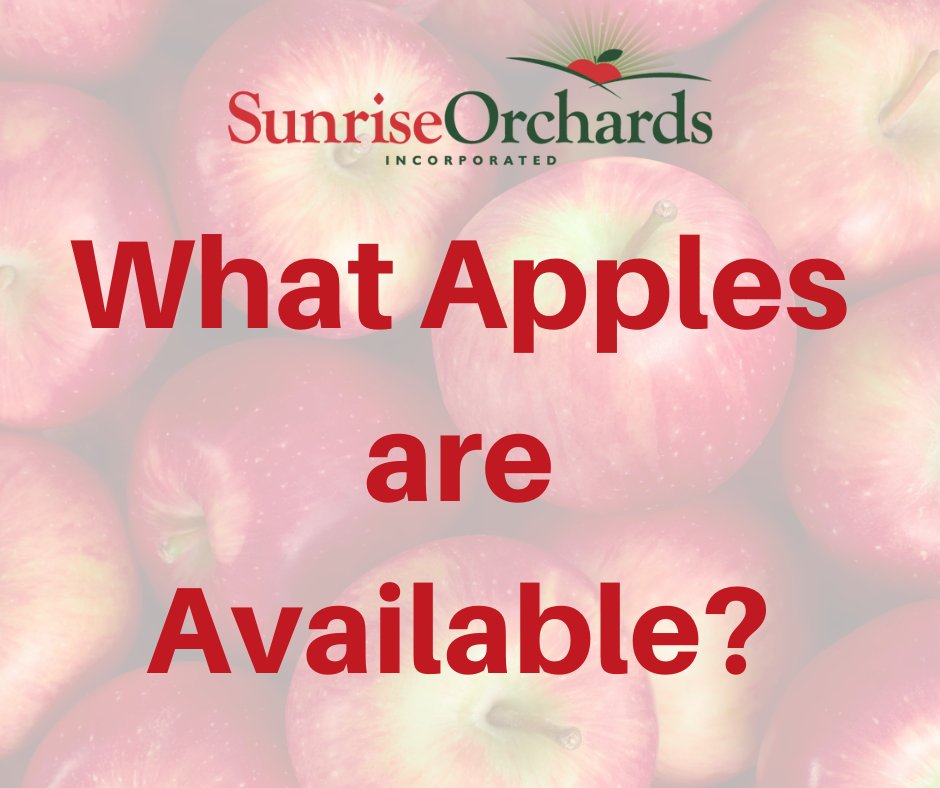 What apples are available today October 9, 2022?