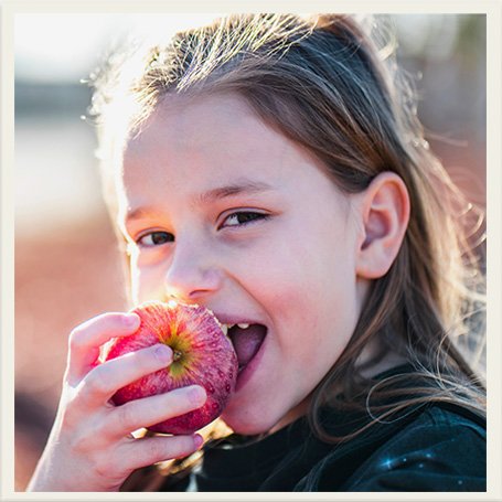 Fun for Kids at Sunrise Orchards