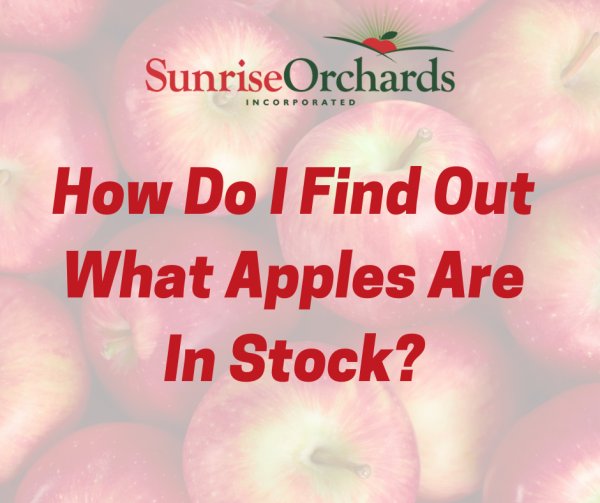 How Do I Find Out What Apples Are in Stock?