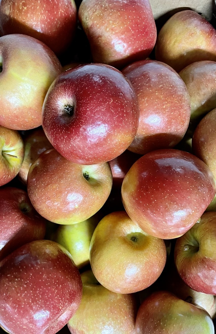 NEW EverCrisp Apple Subscription: Enjoy Fresh Apples to Your Door this Winter!