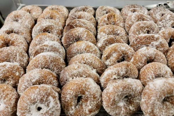Fresh Donuts this weekend at the Stump Dodger Bash!