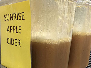 Apple Cider & Honeycrisp Apple Cider Samples