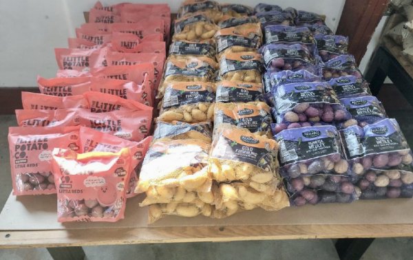Huge Selection of Potatoes are Available Now at Sunrise Orchards!