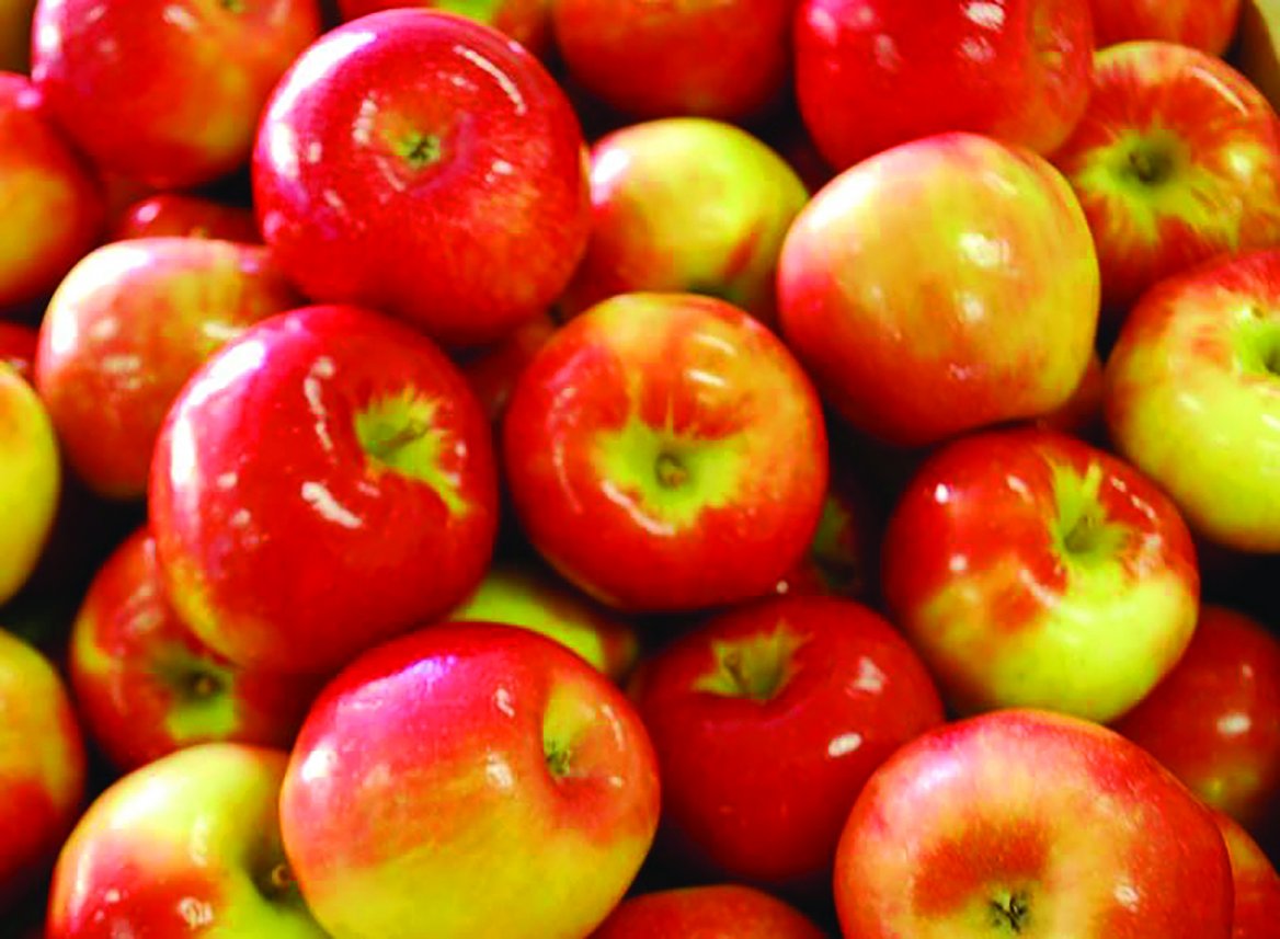 Honeycrisp Available at Sunrise Orchards!