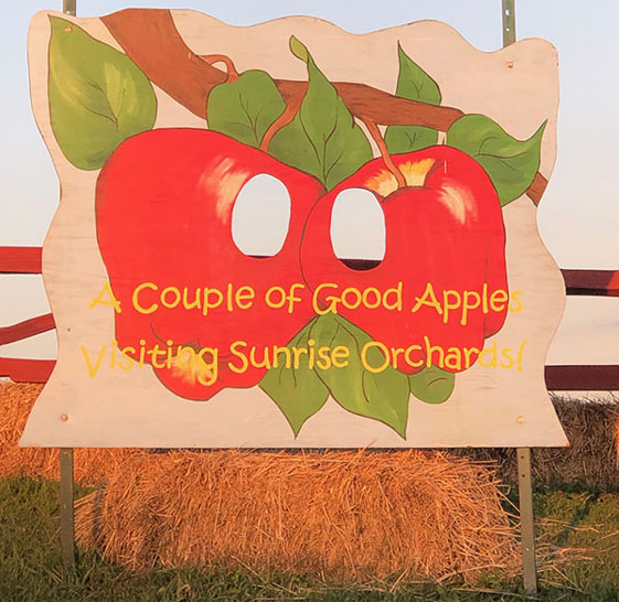 Sunrise Orchards Play Area