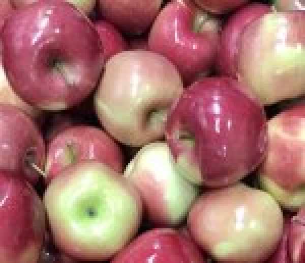 Fuji Apples Available - A True Crowd Pleaser