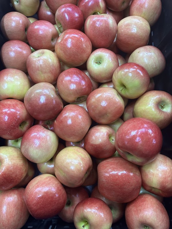 NEW Apple Variety in Stock!