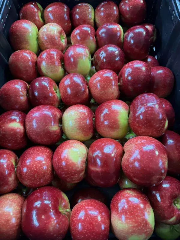 What apples are available?