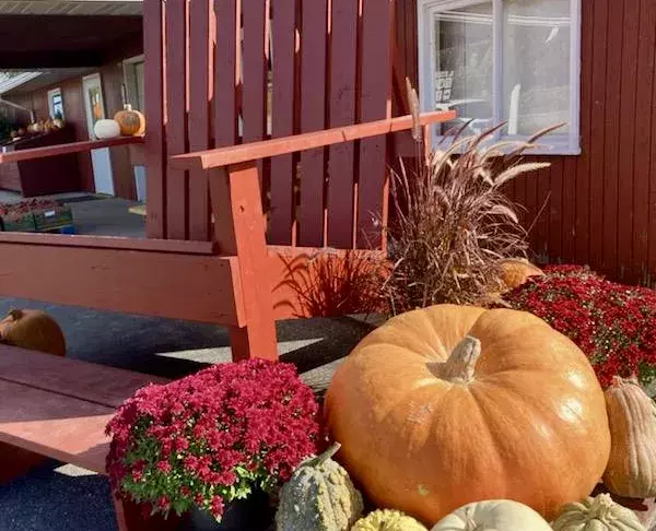 🎃It’s Pumpkin Weekend at Sunrise Orchards + Contest Oct 19th -20th from 9am to 5pm🍂