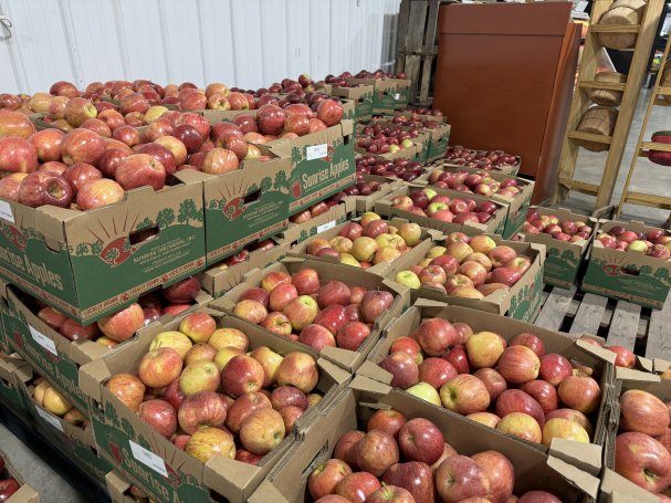 Stop in and Stock Up for Your Thanksgiving Spread!