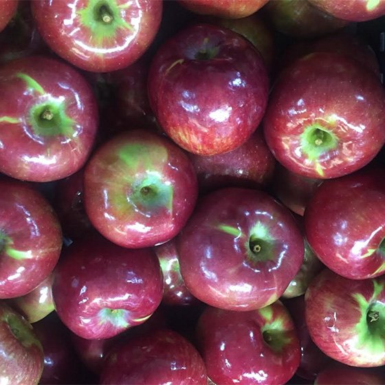Cortland Apples