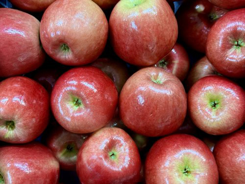 🍎 Our 2025 Apple Season Begins Tomorrow - Monday Aug. 18th 9am-5pm!