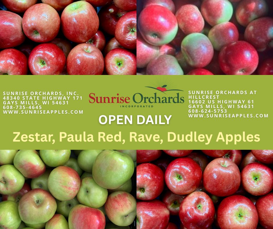 Zestar! Apples in Stock Now!