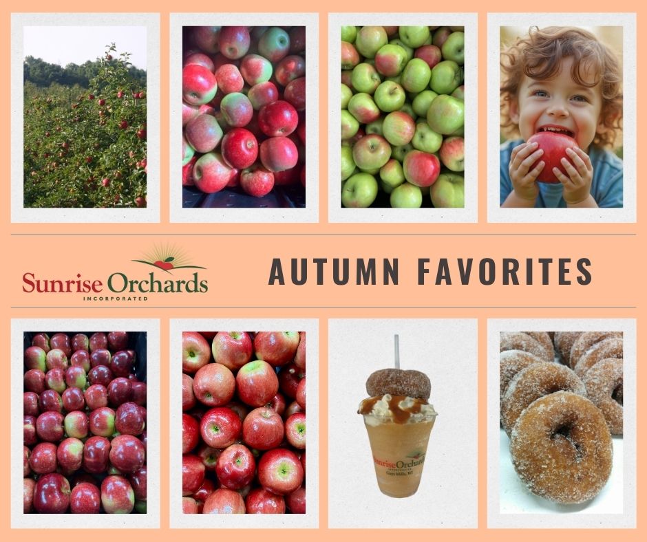 🍂 We’ve Got You Covered for All Your Autumn Favorites! 🍂