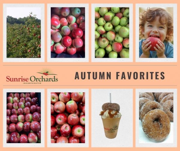 🍂 We’ve Got You Covered for All Your Autumn Favorites! 🍂