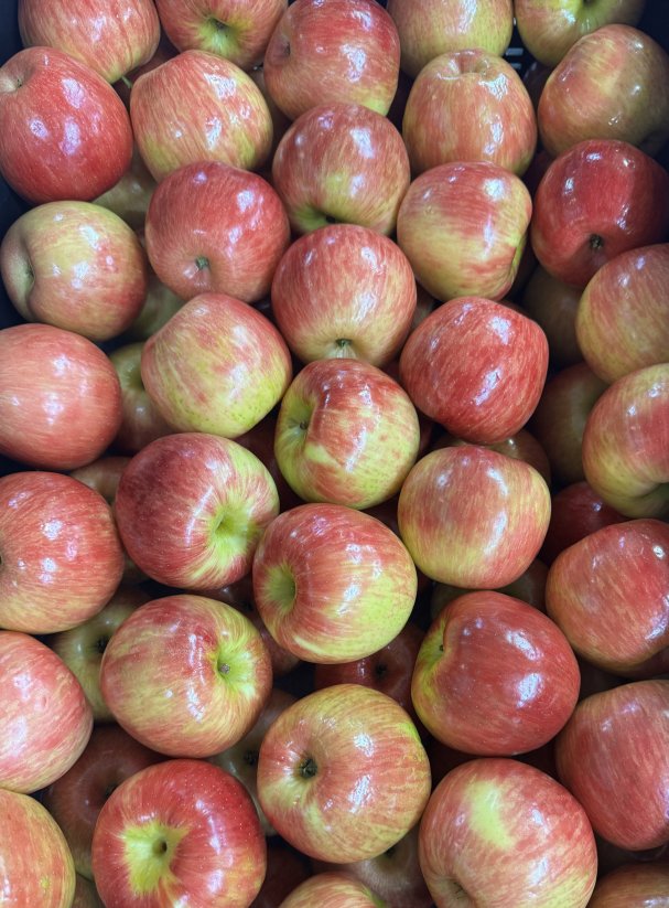HONEYCRISP HAPPINESS!