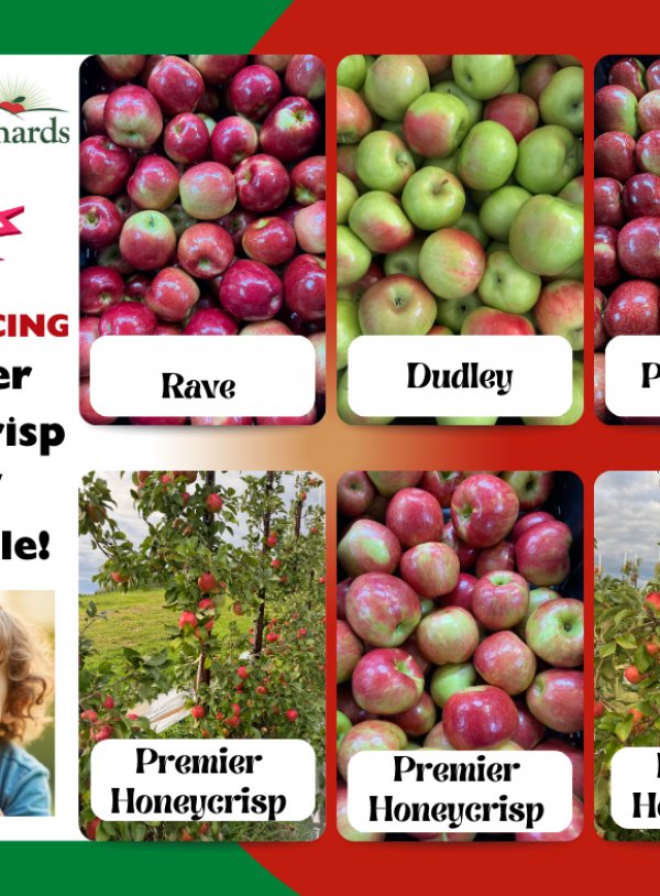 HONEYCRISP HAPPINESS!