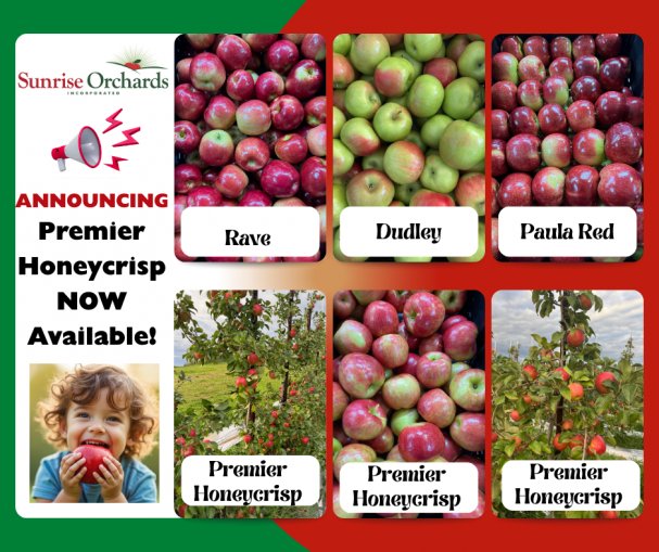 HONEYCRISP HAPPINESS!