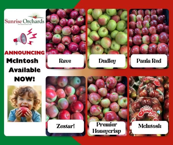 GOOD NEWS: McIntosh apples have arrived at Sunrise Orchards!