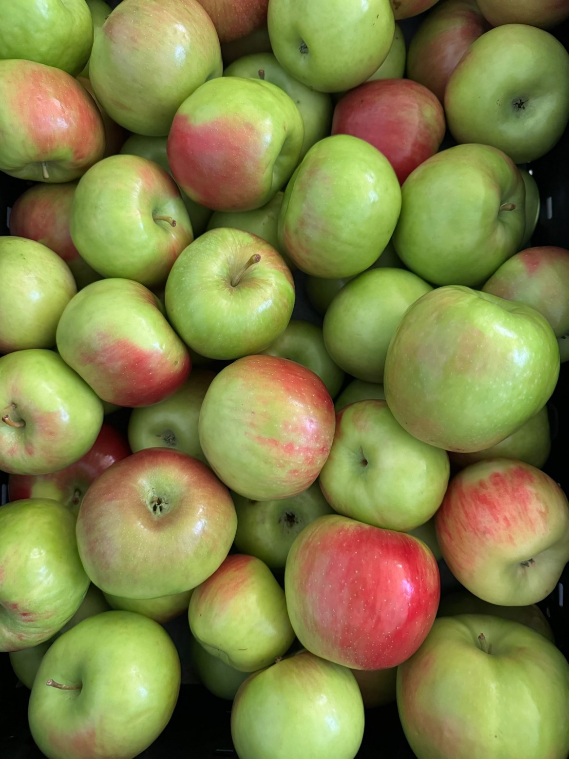 Dudley Apples Available!