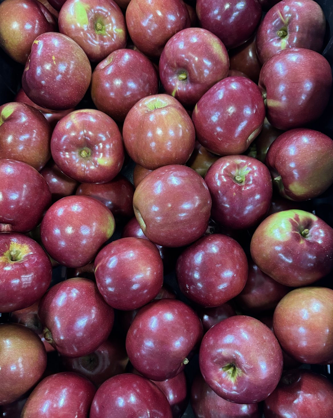 Snack It, Bake It, Love It: The McIntosh Apple