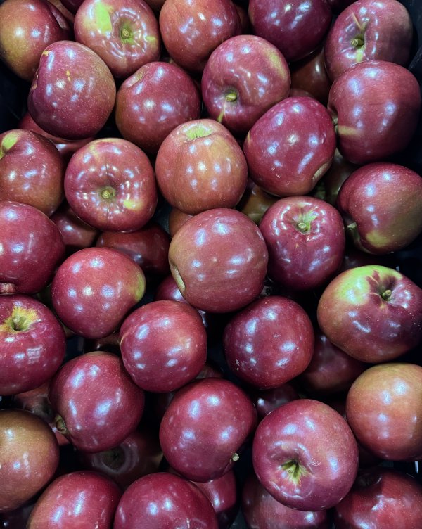 Snack It, Bake It, Love It: The McIntosh Apple