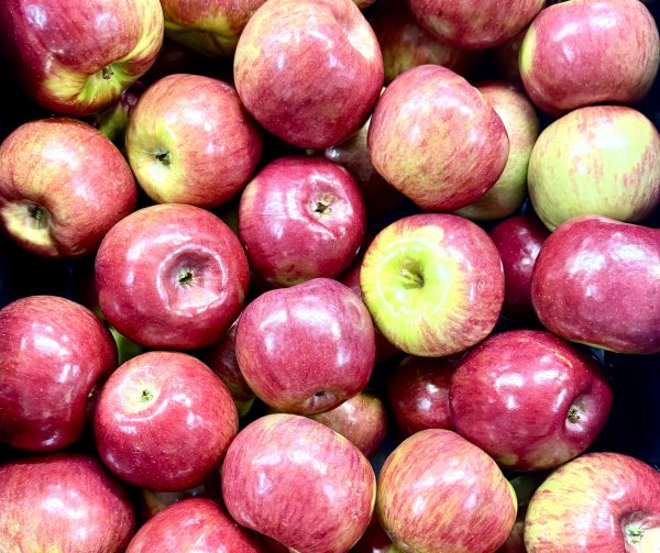 🍎🎉 Cortland Apples are in! Sweet, crisp, and ready for snacking! 🍂🍎