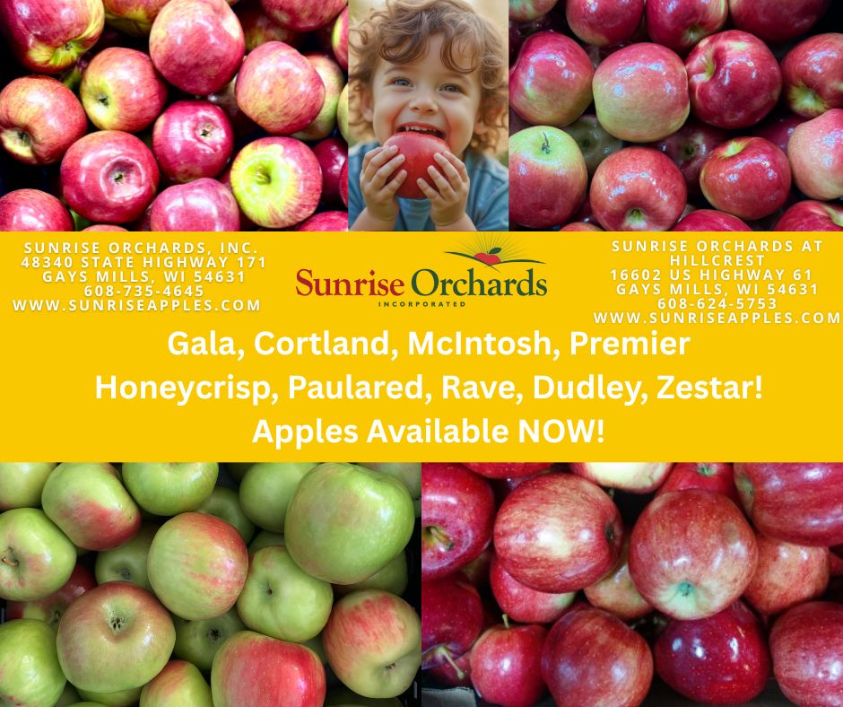 🍎✨ Fresh-picked Gala apples are available NOW at Sunrise Orchards!