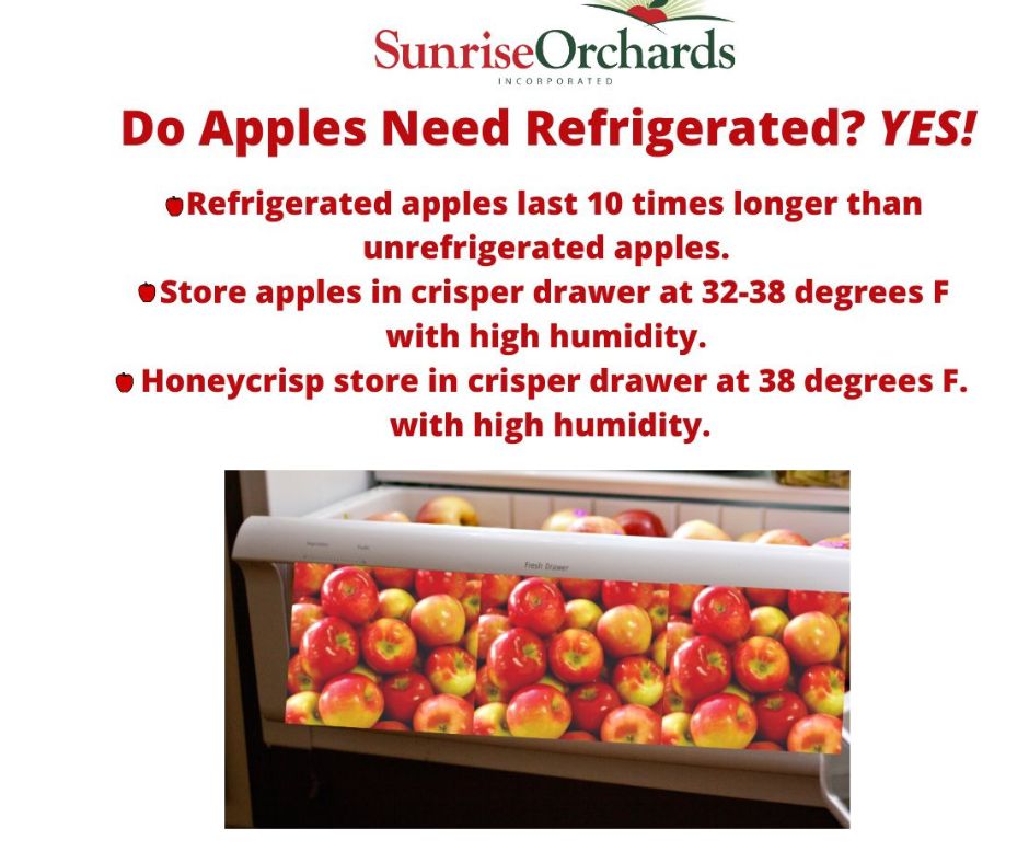 Do Apples Need Refrigeration?🍎