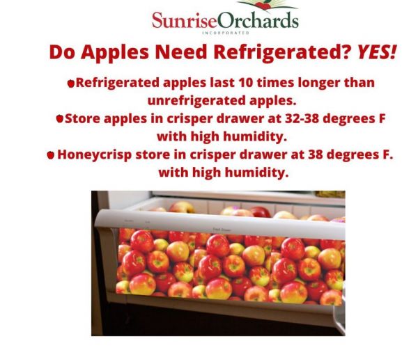Do Apples Need Refrigeration?🍎