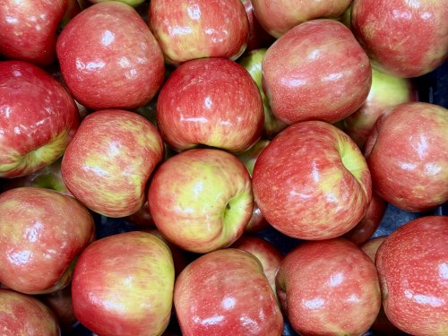 Honeycrisp